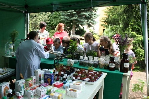 Dni Otwarte Ogrodu Roślin Leczniczych 2012